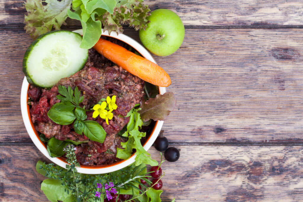 Futternapf, mit Barf- Frischfleisch mit Gemse, Krutern, Salat und Obst als Tabletop mit viel Textfreiraum