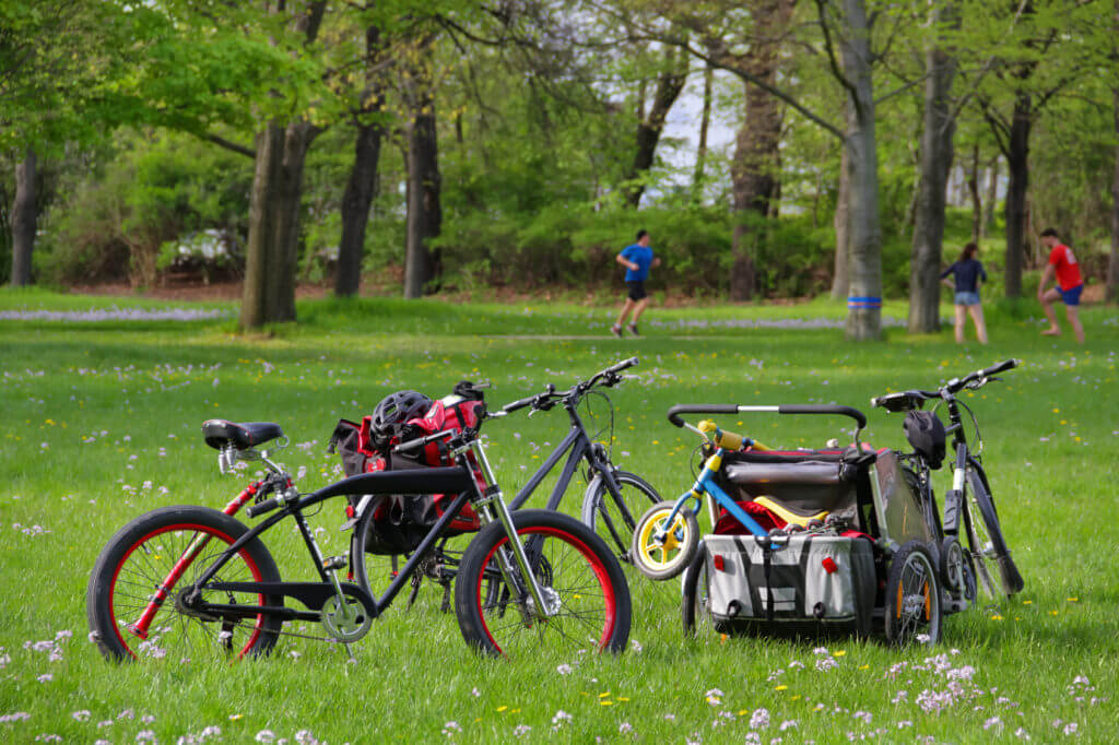 Recreation with bikes Groer Garten Dresden